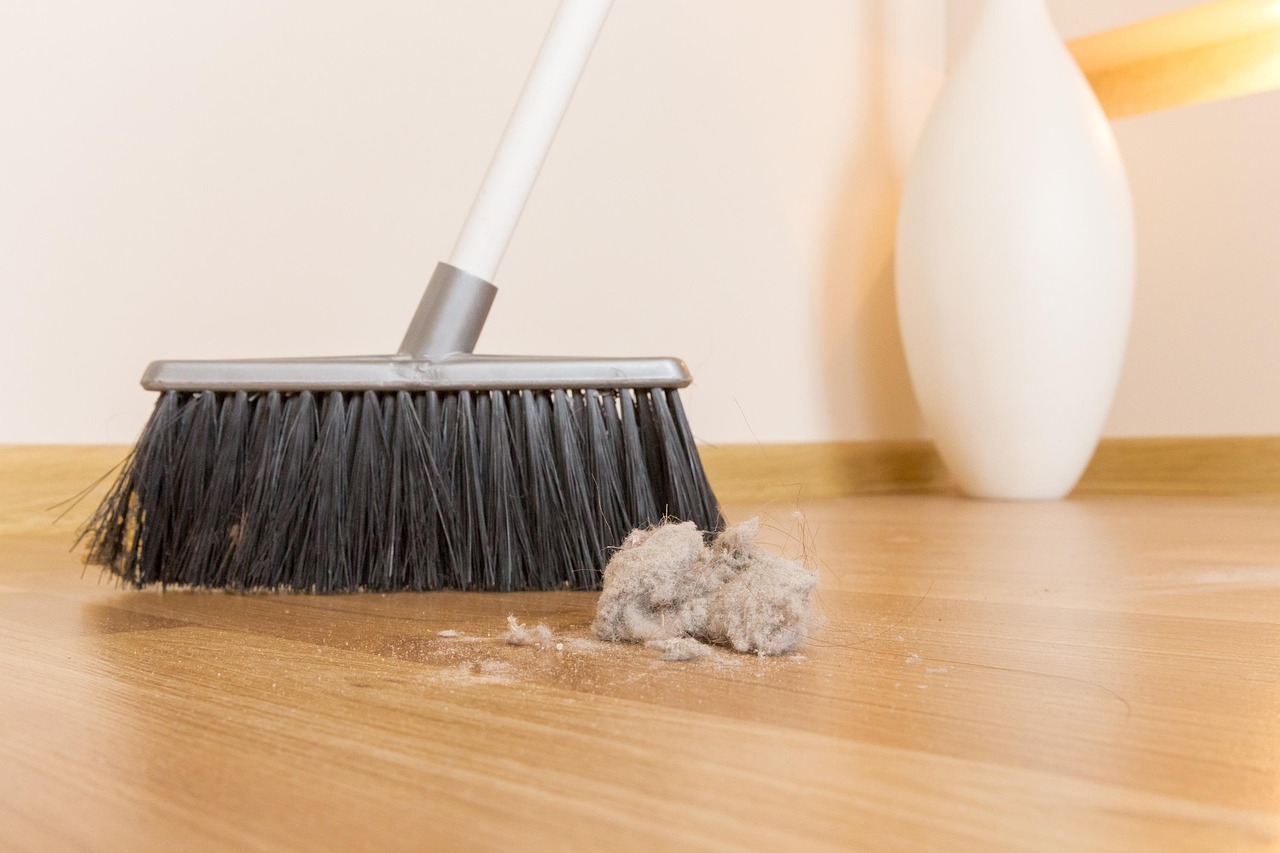 broom, dirt, dust, clump, garbage, house, indoors, interior, working, ball, besom, brooming, chaos, chores, clean, cleaning, domestic, broom, broom, broom, broom, broom, chores